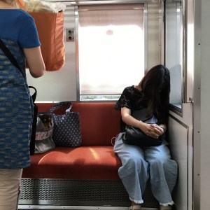 Haiku_11_ 11a_img_9678