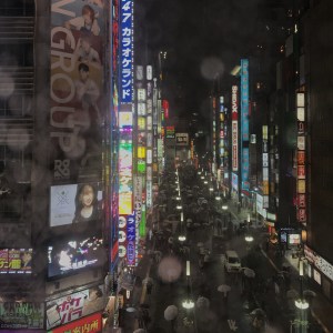 Haiku_16_ 16a_img_0019