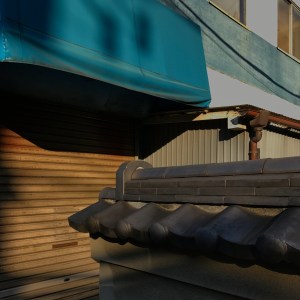 Haiku_19_ 19bnew_img_6525