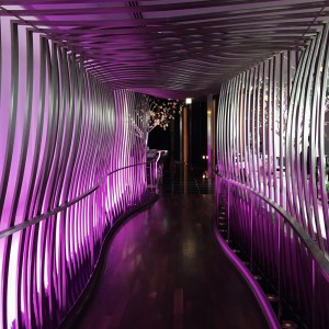 Haiku_2_ 2b_img_9235