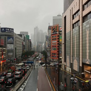 Haiku_5_ 5a_img_9260