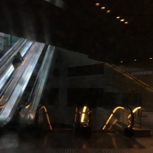 Haiku_5_ 5b_img_9310