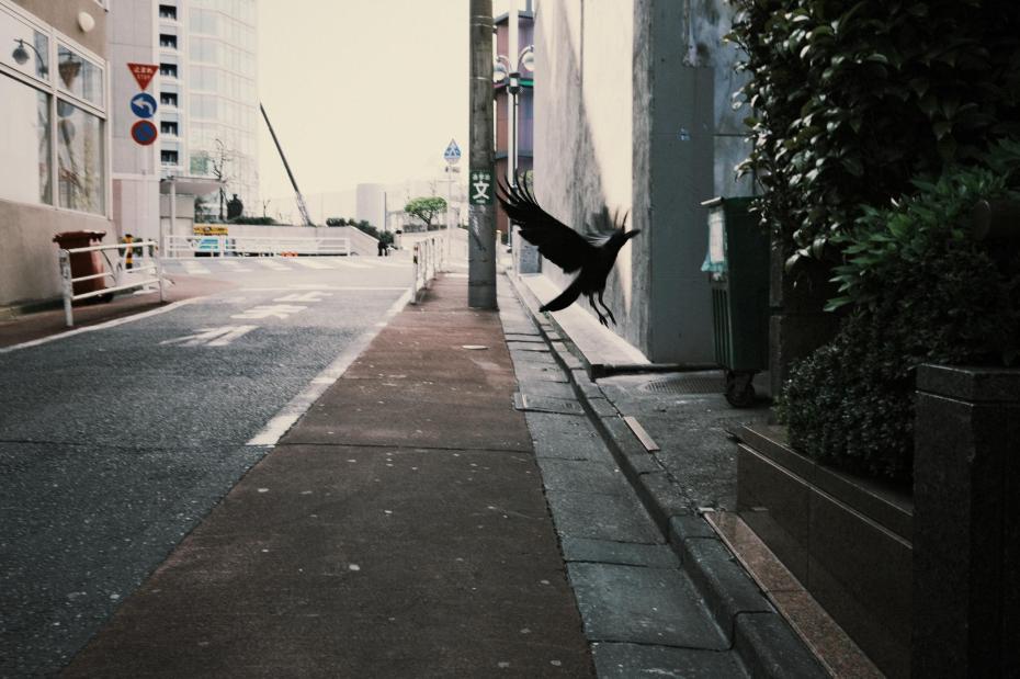 TOKYO-202004-00060-V2