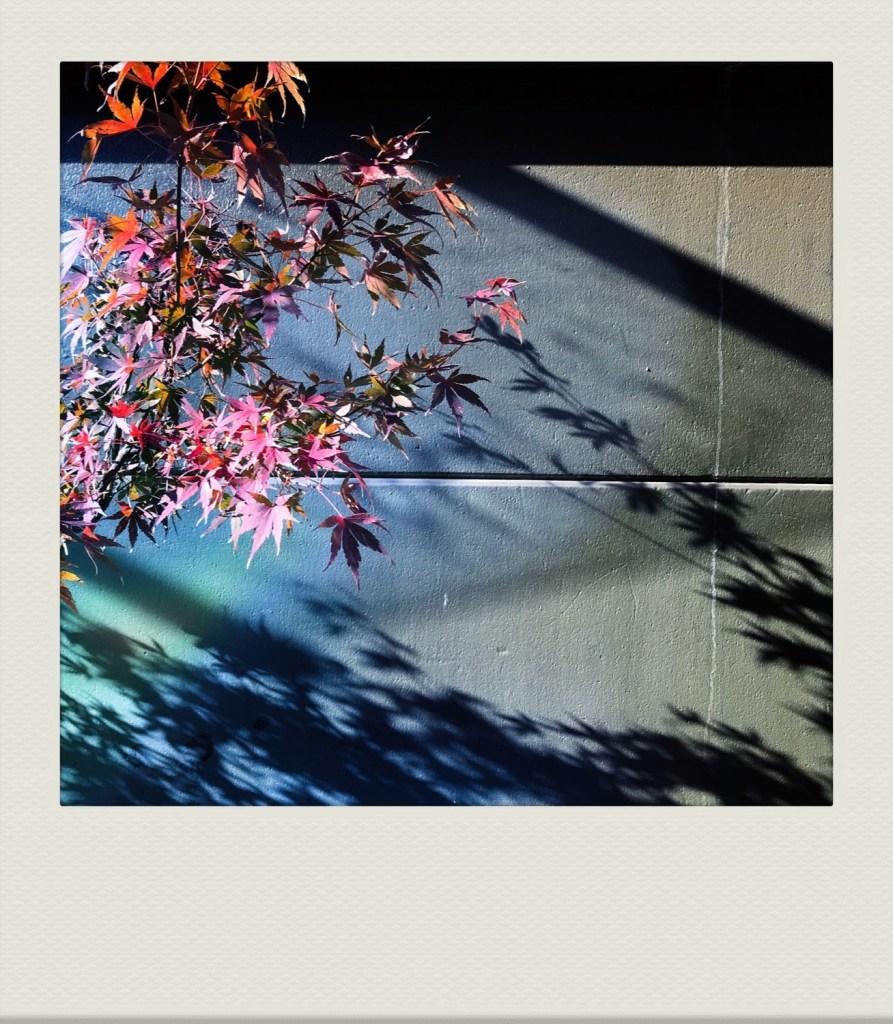 TOKYO-PH-202007-00006