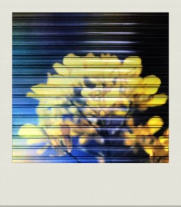 TOKYO-PH-202007-00025