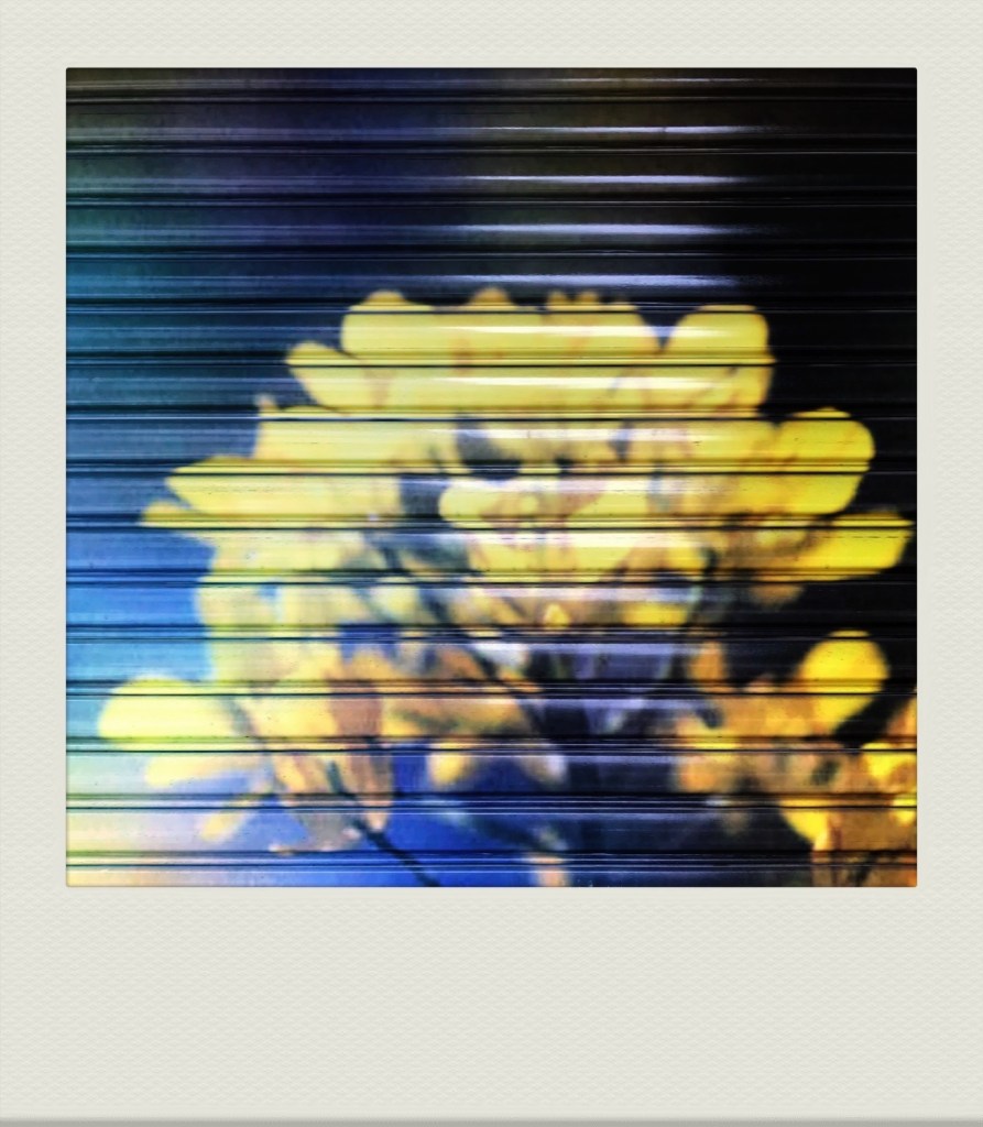 TOKYO-PH-202007-00025