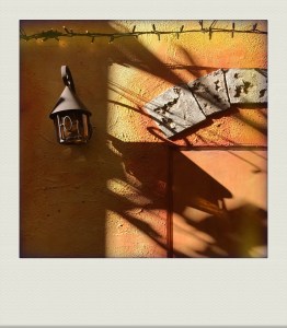 OKINAWA-PH-202008-00011