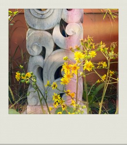 OKINAWA-PH-202102-00007