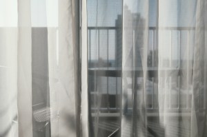 OKINAWA-202102-00108-LF2