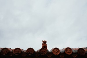 OKINAWA-202103-00024-LF