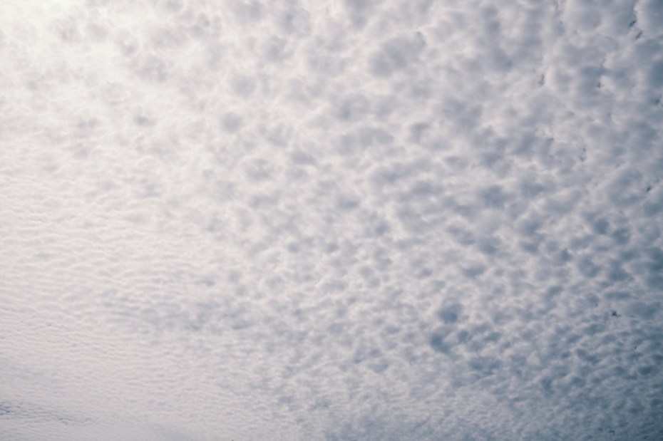 OKINAWA-202105-00021-LF