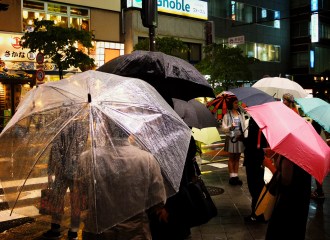 Tokyo Umbrellas