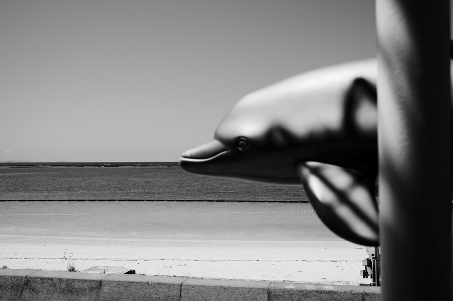 okinawa-202109-00038-lfm