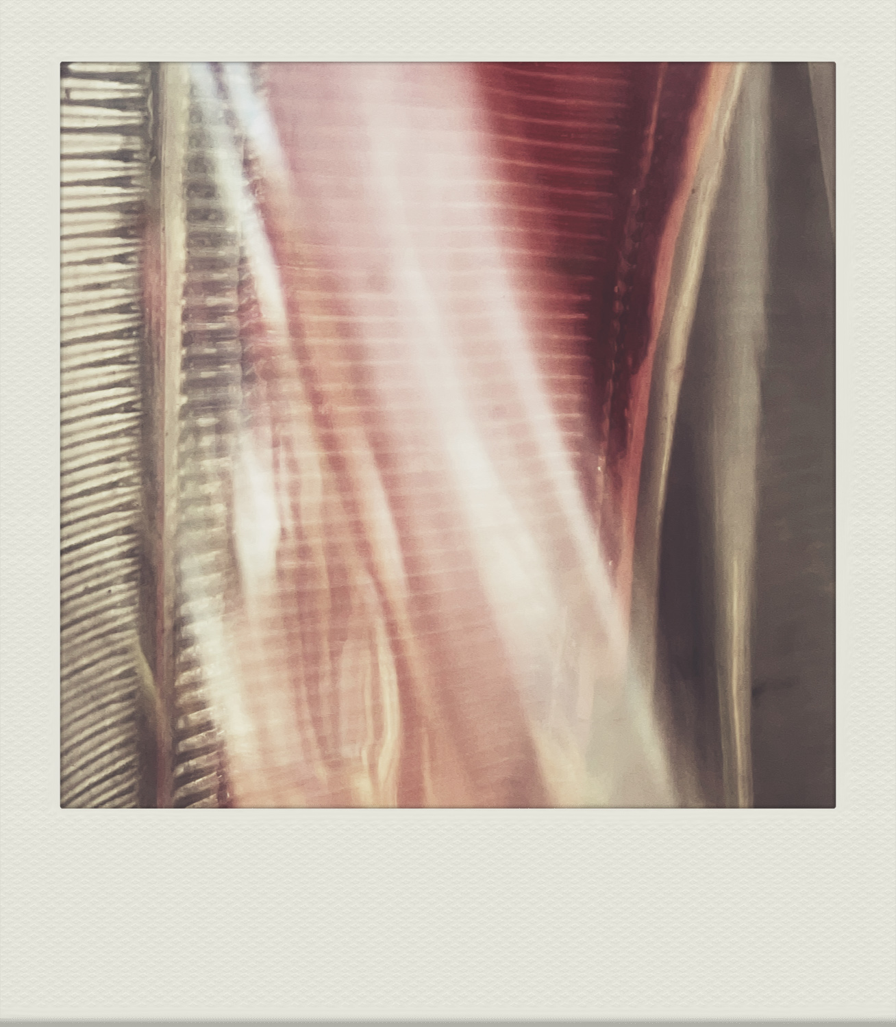 OKINAWA-PH-202110-00045