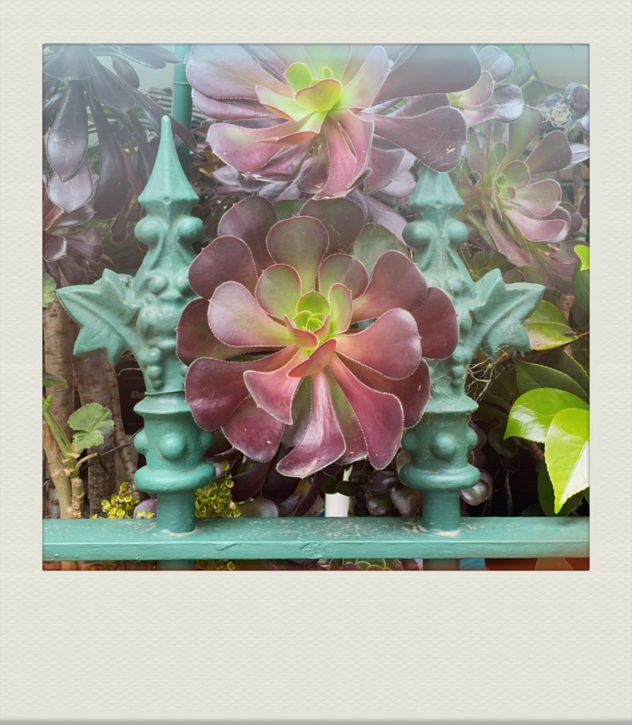 MELB-PH-202111-00003