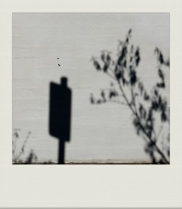 MELB-PH-202202-00021