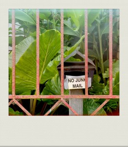 MELB-PH-202203-00007