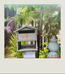 MELB-PH-202203-00009