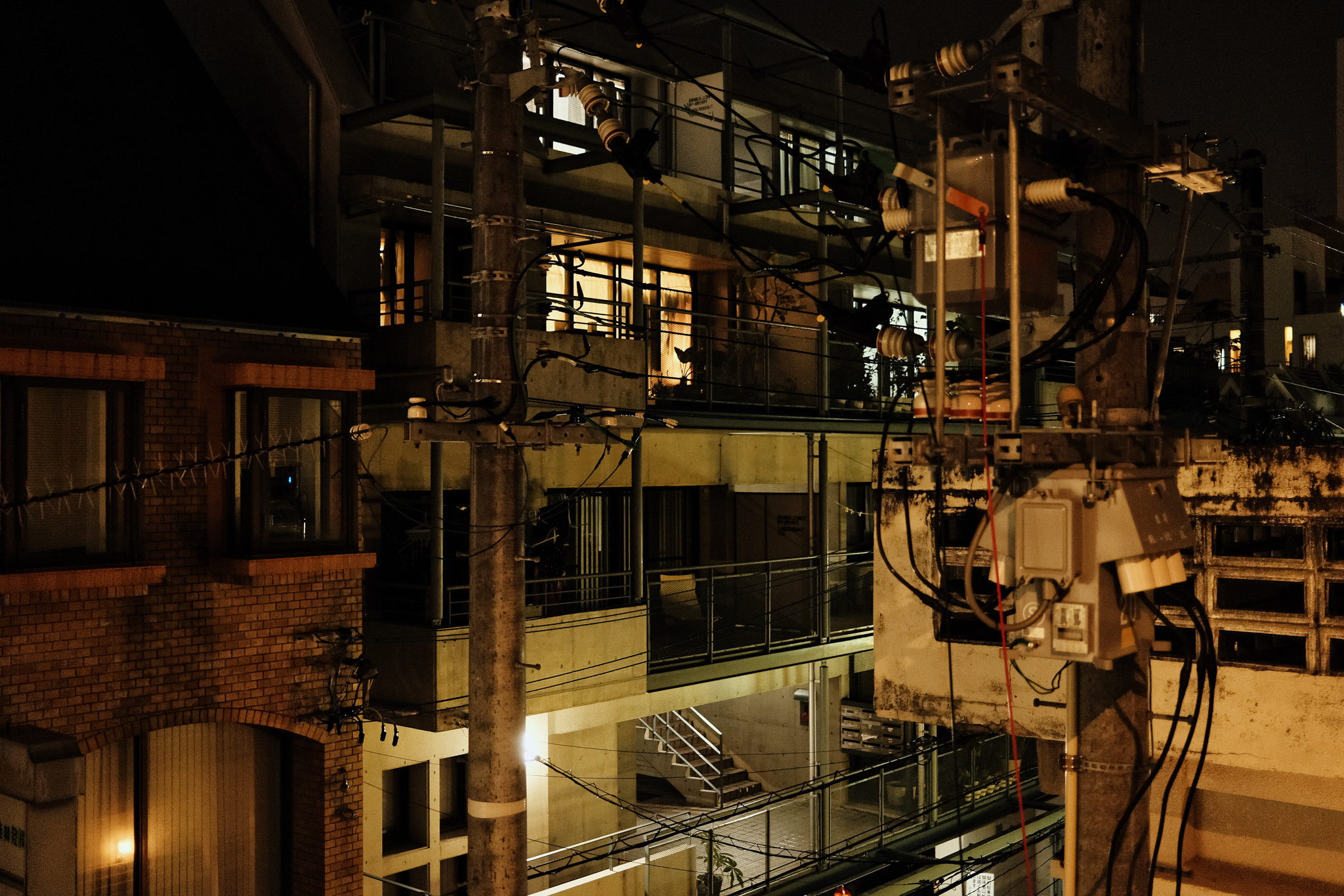 OKINAWA-202205-00002-LF