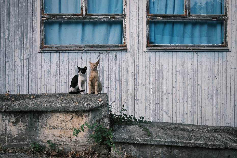 KEFALONIA-202307-00045-ON