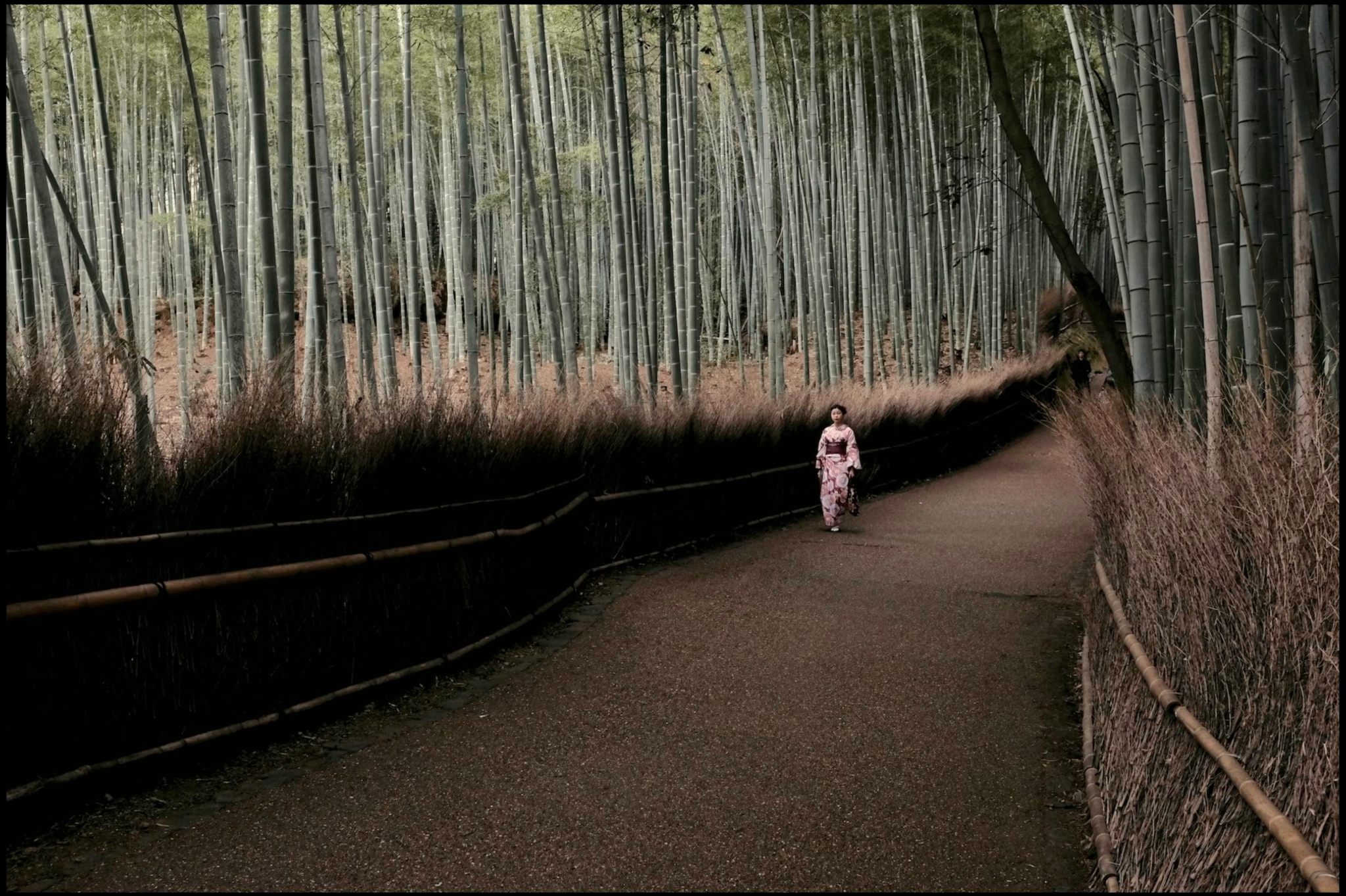 KYOTO-201602-00002-ON